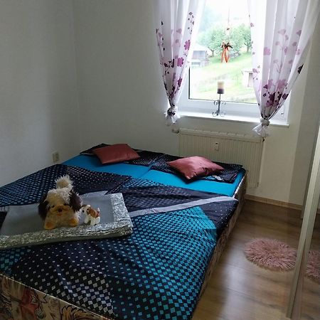 Ferienwohnung Einsiedel 켐니츠 외부 사진